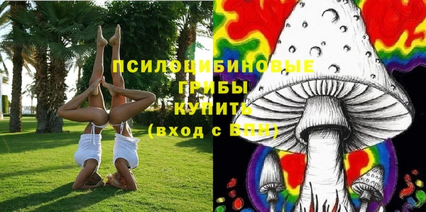 круглые Алексеевка