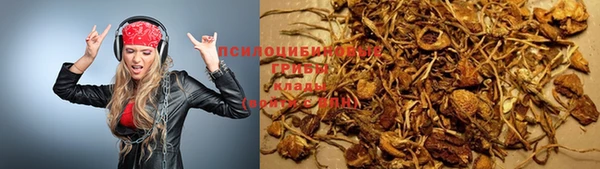 круглые Алексеевка