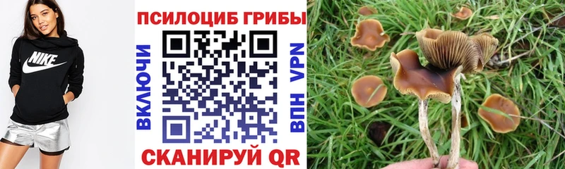 Галлюциногенные грибы мицелий  Брянск 